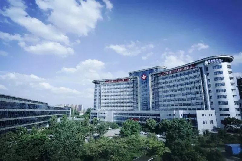 Lichtgewicht stielen struktuer Healthcare Building