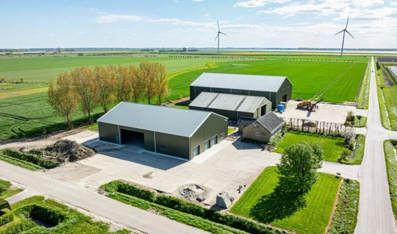 Steel Structure Agricultural Processing Plant Construction